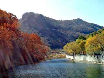 正版澳门天天开彩大全，空气锤价格